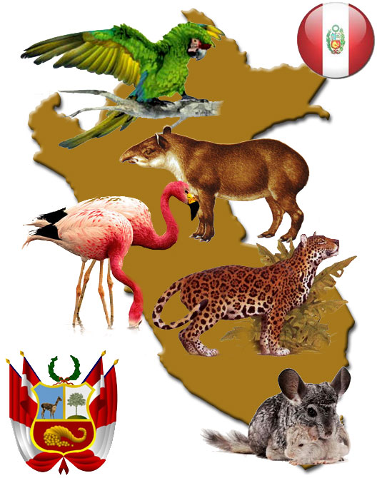 Listado de especies extintas y lista de animales en peligro de. Listado de especies extintas y