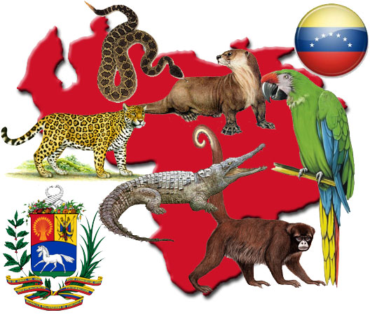 Animales extintos y en peligro de extinción en Venezuela Animales extintos y en peligro de extinción en Venezuela