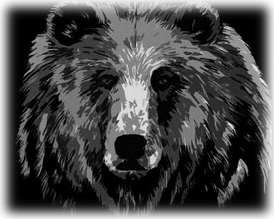 Oso mexicano