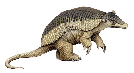 http://www.barrameda.com.ar/animales