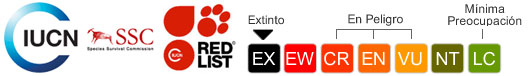 Statuis UICN - Extinto