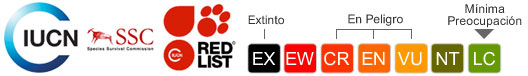 Status UICN - Mínima preoucpación