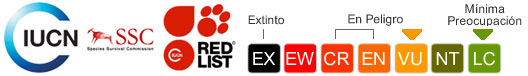 Status UICN: Vulnerable