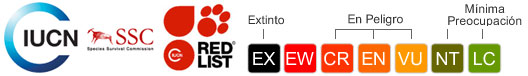 Status UICN (SIN DATOS)