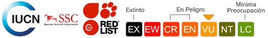 Status UICN: Vulnerable