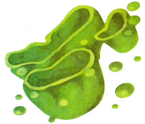 Aparato de Golgi