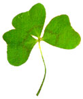 Hoja trifolada