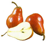 Pomo (Pera)