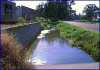 Aguas contaminadas