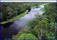 Amazonas