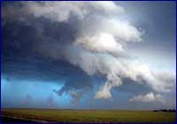Tormenta Tormenta