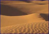Desierto Desierto