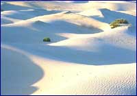 Desierto Desierto