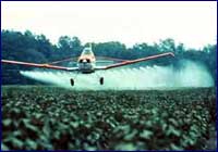 Contaminación con agroquímicos Contaminación con agroquímicos