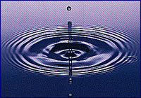 Agua Agua
