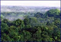 Amazonia Amazonia