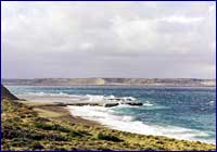 Costas patagónicas Costas patagónicas