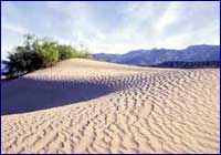 Desertización Desertización
