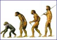 Evolución ¿hacia dónde? Evolución ¿hacia dónde?