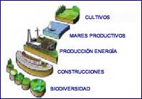 Distribución de superficies Distribución de superficies