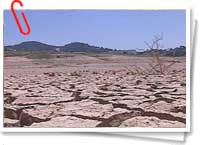 Desertización