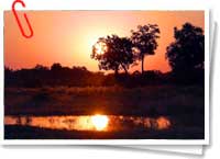 Paisaje africano Paisaje africano