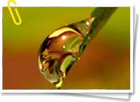 Gota de agua Gota de agua