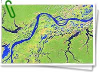 Vista satelital del curso del río Amazonas Vista satelital del curso del río Amazonas