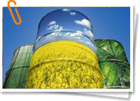 Biocombustibles Biocombustibles
