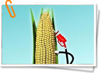 Biodiesel Biodiesel