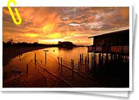 Borneo Borneo