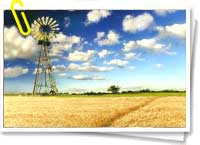 Vista de una explotacin agropecuaria en Argentina