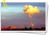 Contaminación ambiental Contaminación ambiental