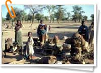 Darfur Darfur
