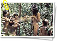 Aborígenes de la Amazonia Aborígenes de la Amazonia