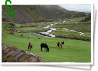 Valle de Los Lares - Per