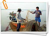 Pescadores del Paraná Pescadores del Paraná