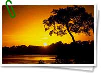 Amazonia Amazonia