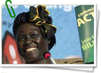 Wangari Maathai Wangari Maathai