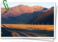 Xinjiang Xinjiang