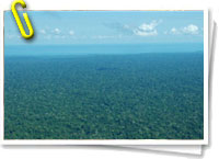 Amazonia