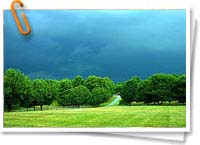 Tormenta Tormenta