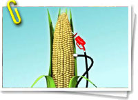 Biocombustibles