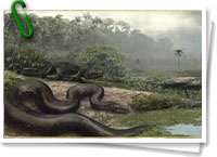 Titanoboa cerrejonensis