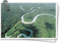 Amazonas