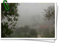 Bosque nublado