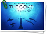 The Cove
