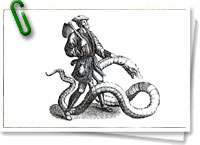 Manual operativo de lombricultura revolucionaria