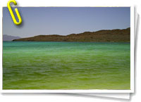 Mar verde