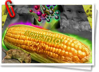 Monsanto